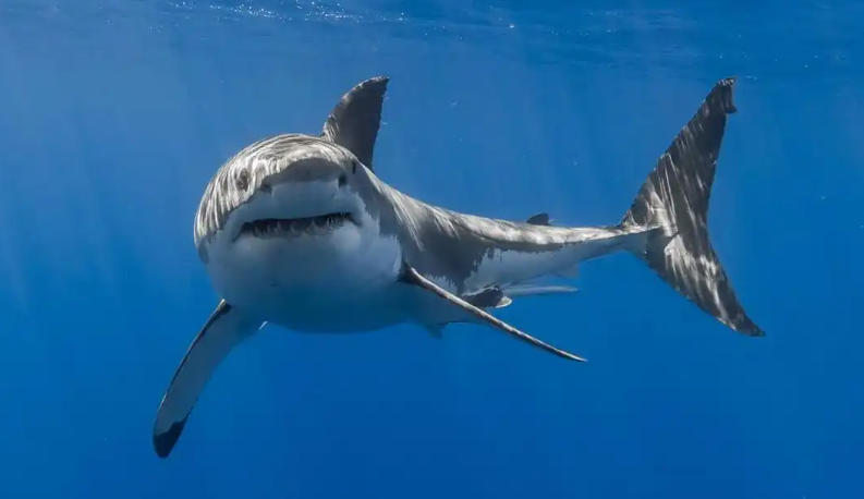 河北海德科技发展有限公司轮播图2